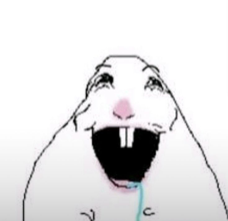 0xCoochie tweet media