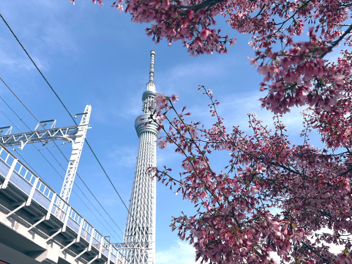 浅草からスカイツリーまでお酒を飲みながらお散歩、幸せだった🙂‍↕️