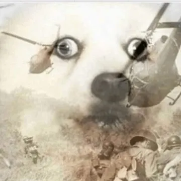 Psychonaut tweet media