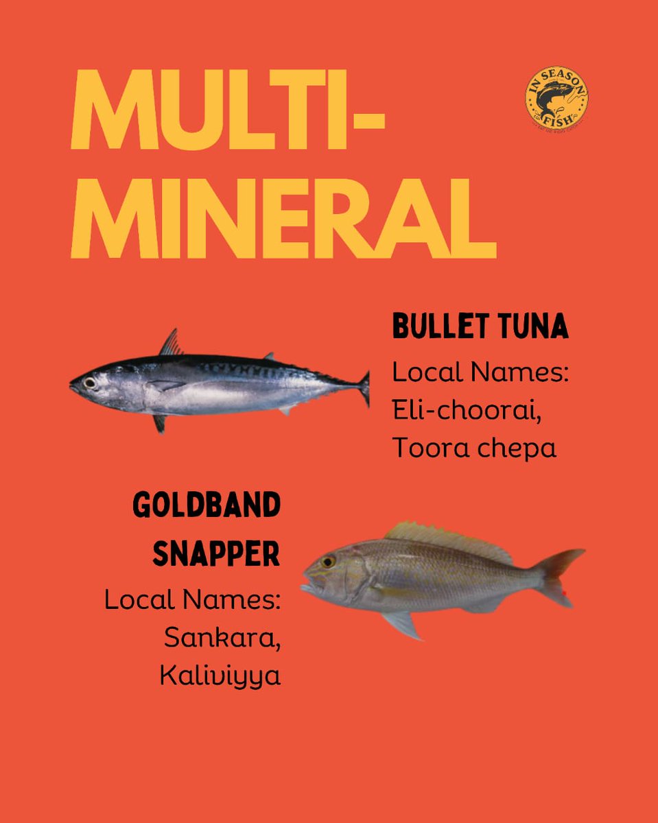 InSeason Fish tweet media