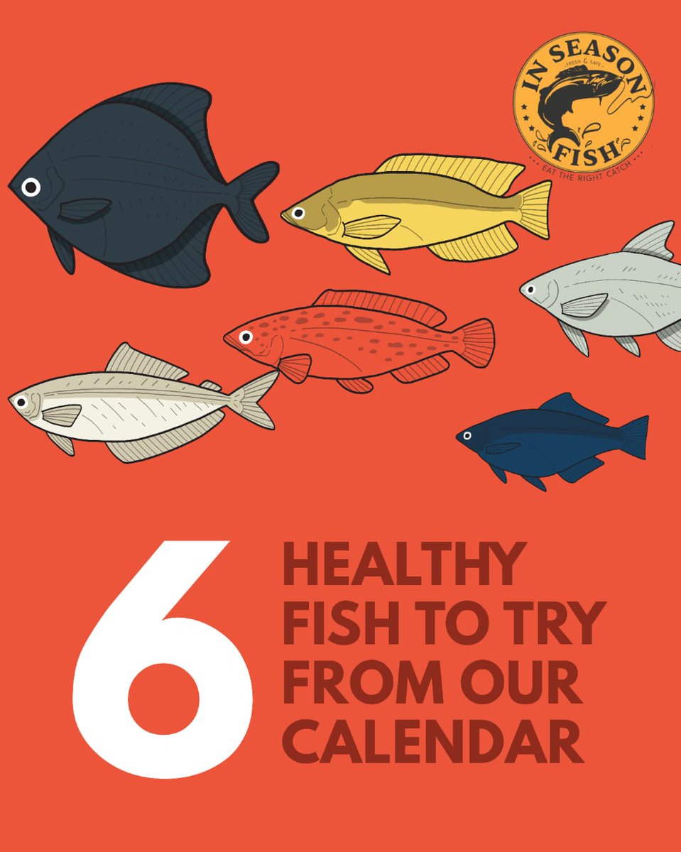 InSeason Fish tweet media