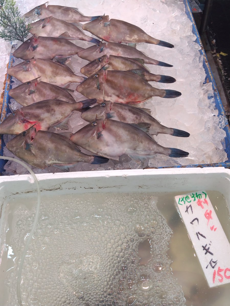 森ボン tweet media