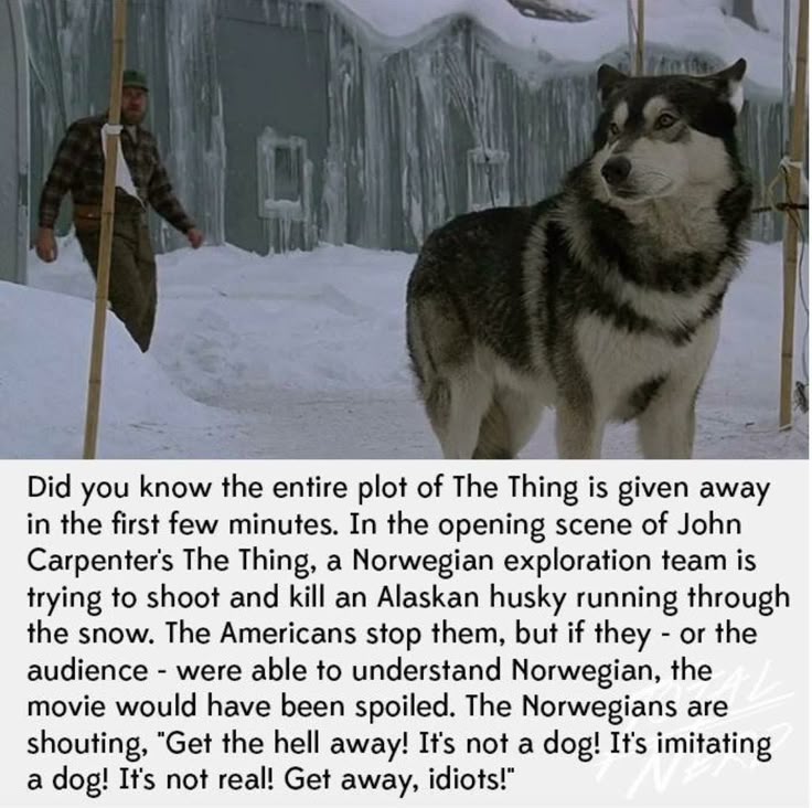 The Thing: OP31 (☥𝐃𝐁) tweet media