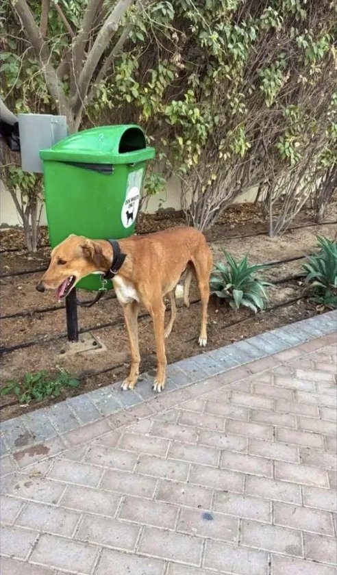 Trump Fact News 🇺🇸 tweet media