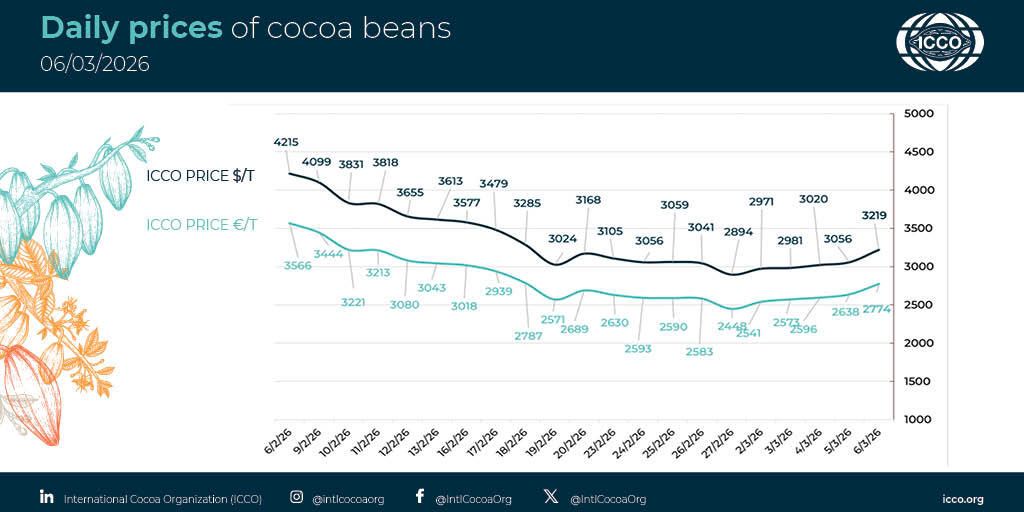 International Cocoa Organization (ICCO) tweet media