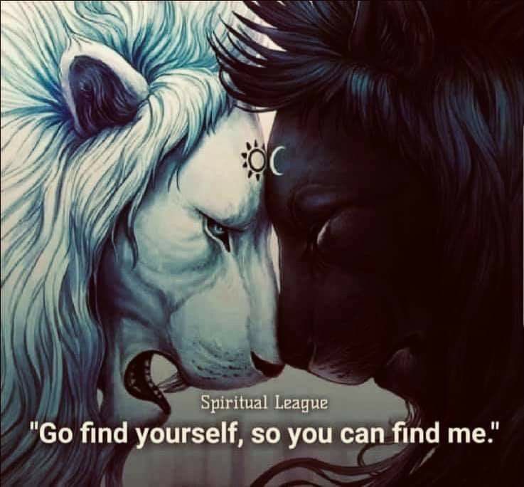 Cosmic Insights 🌻 (@awakenthyself33) on Twitter photo 