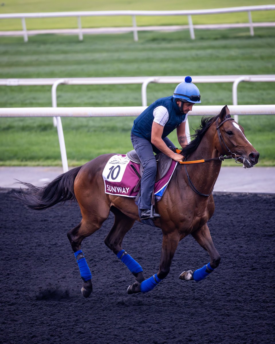 Dubai Racing Club tweet media