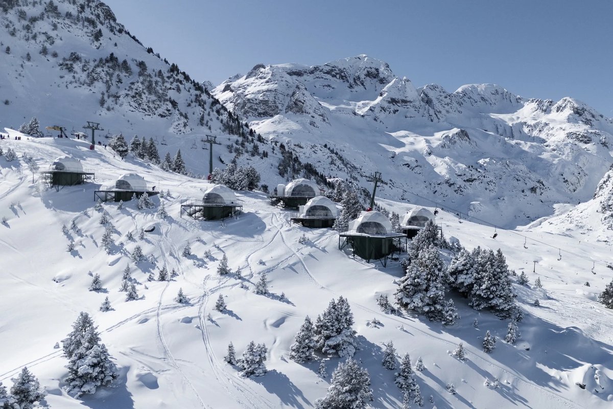 Bodega SOMMOS tweet media