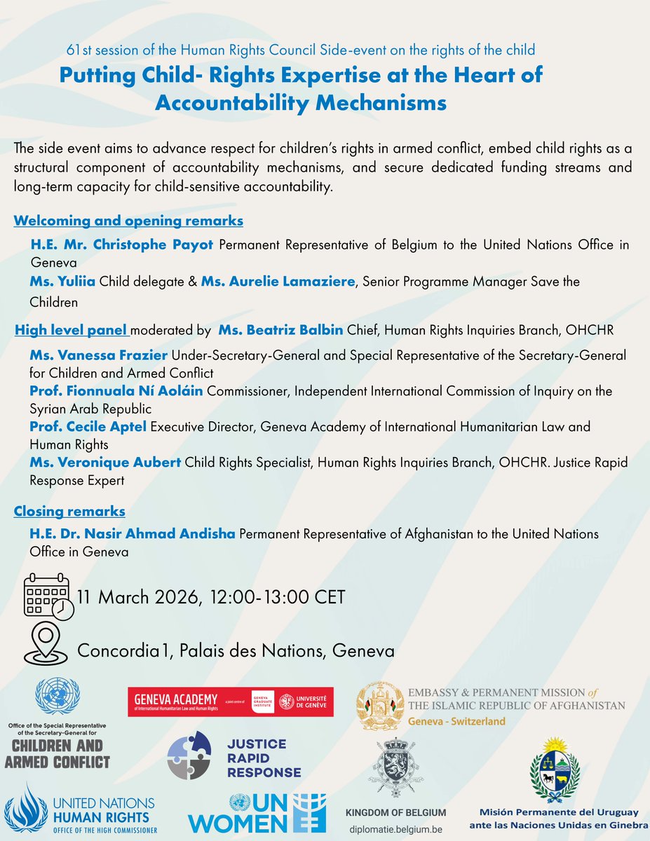 UN Human Rights Council Investigative Bodies tweet media