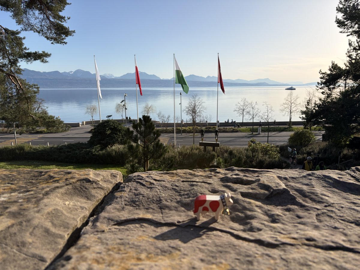 Happy Lilly tweet media