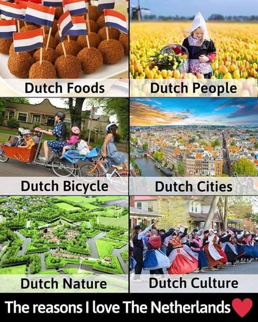 Wim den Oudsten tweet media