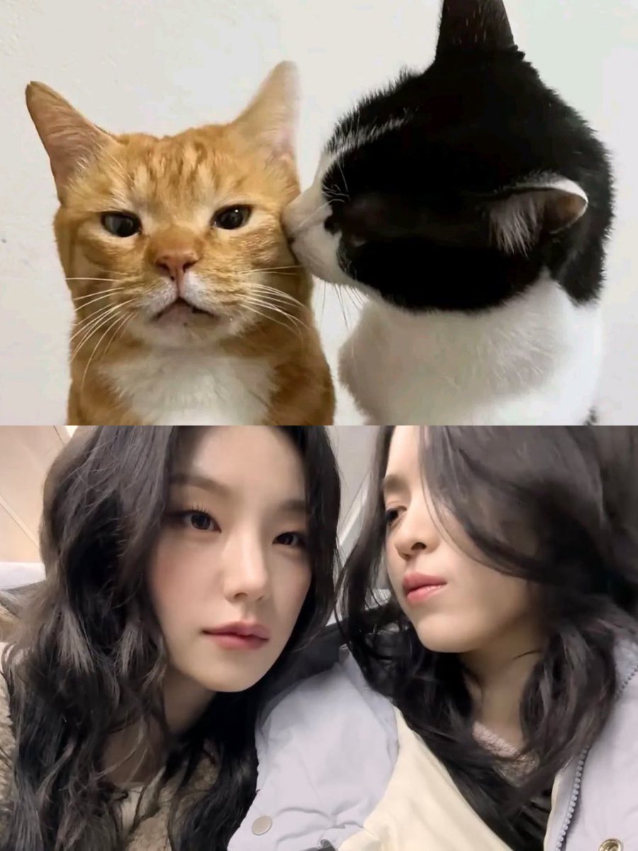 ryjdaisy's tweet photo. https://t.co/OY6x3lM3bD