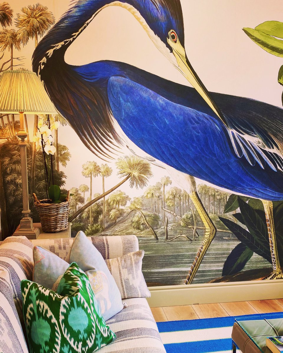 Ireland's Blue Book tweet media