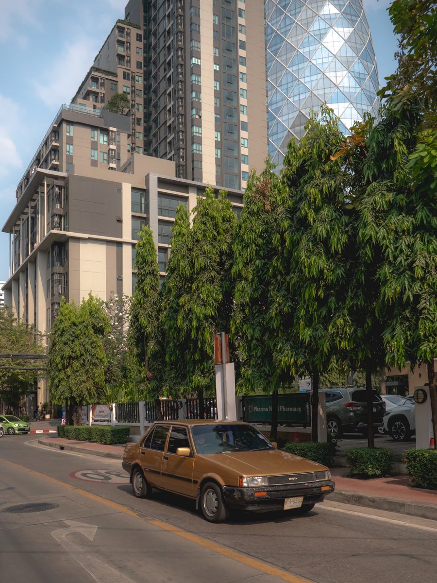 sancholito tweet media