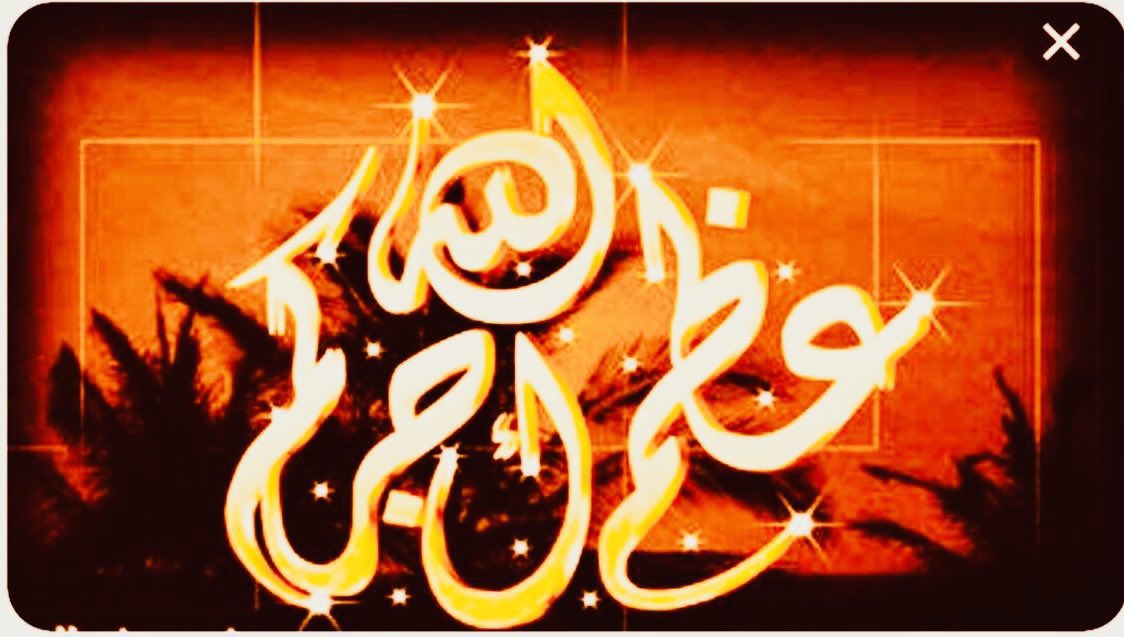 🌍ع.ص الهليل tweet media