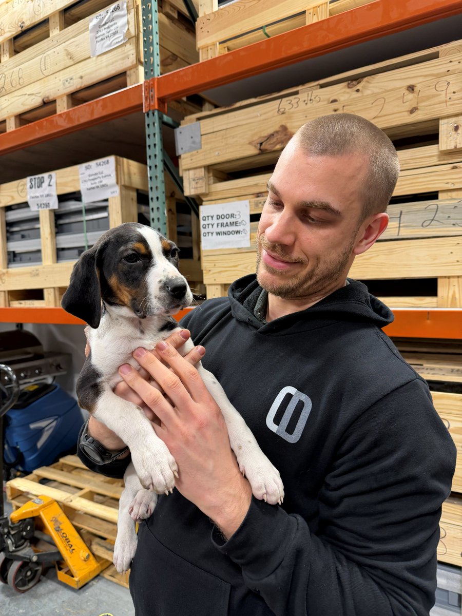 ComdorLLC's tweet photo. Our collaboration with @lostdogrescue  is full of perks; like a Friday afternoon with the cutest litter of puppies! https://t.co/p88AzqUwfw