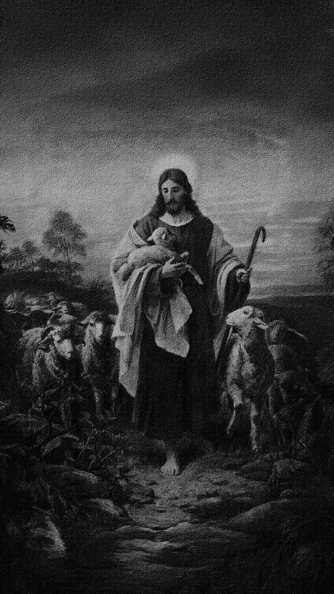 Aesthetic.Guyy tweet media