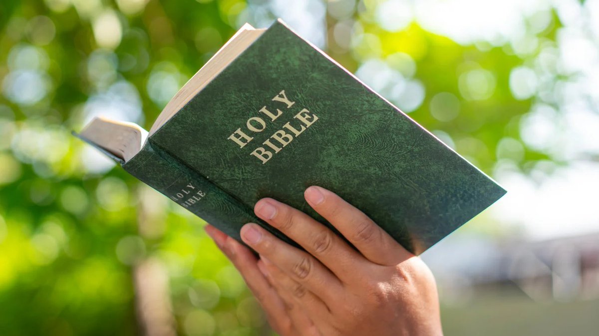 Benonwine tweet media