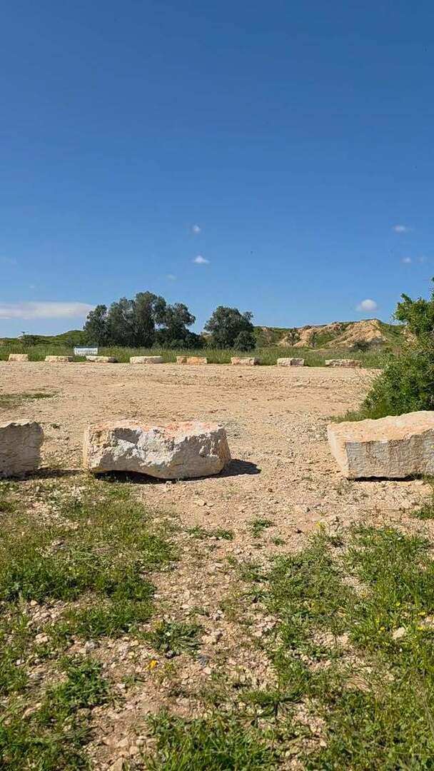 wanderonomy's tweet photo. Morning birdsongs at HaBsor National Park.  I heard lots of birds and saw lots and lots of bugs.  I might have inadvertently swallowed a bug too. 😨 https://t.co/M2iDXReQky https://t.co/WBbz3Y3BPE