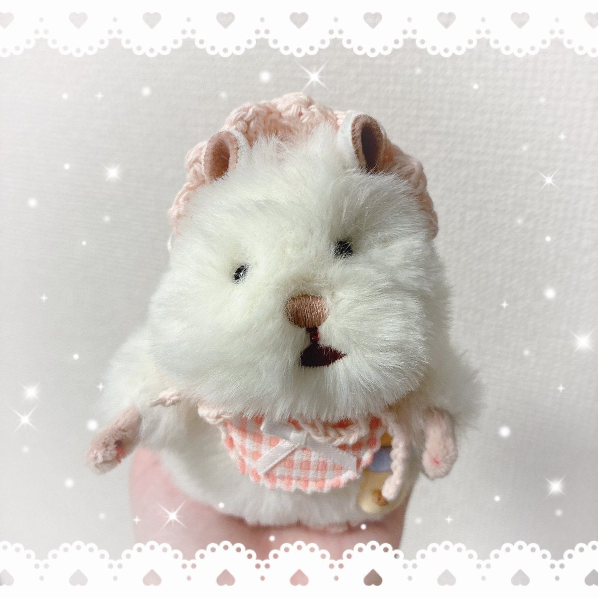 ちいも。 tweet media