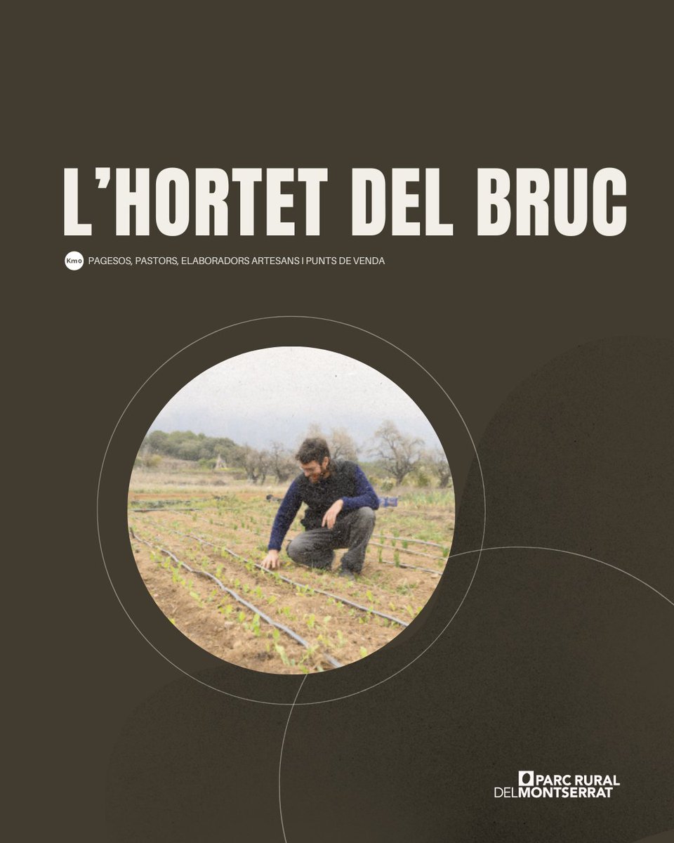 Parc Rural del Montserrat tweet media