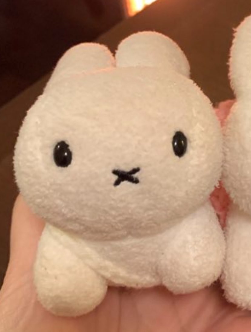 miffychamcham's tweet photo. ←出会いたて                 いま→ https://t.co/BhvFd4Owxa