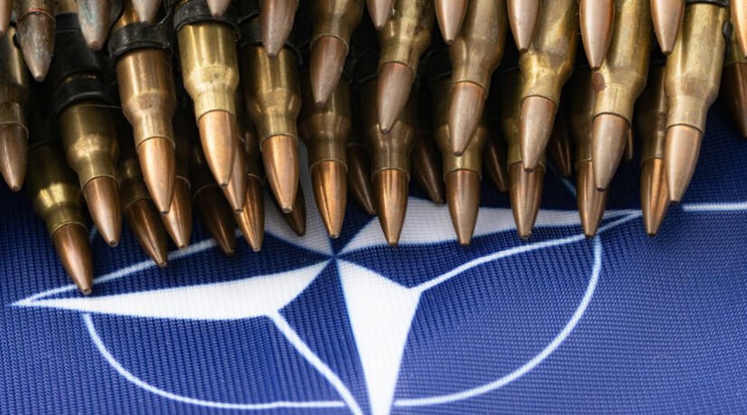 Toast 🥪 tweet media