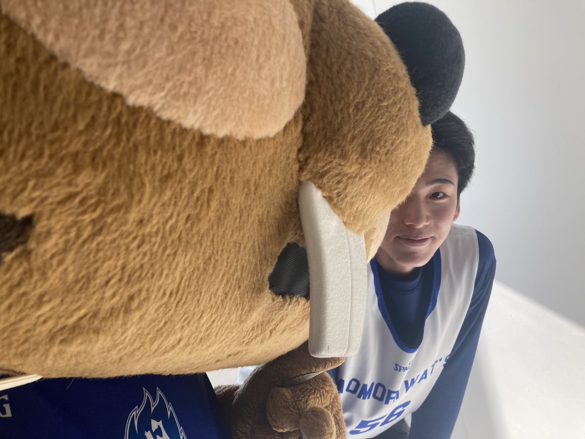 【公式】クイッキー・デッチ tweet media