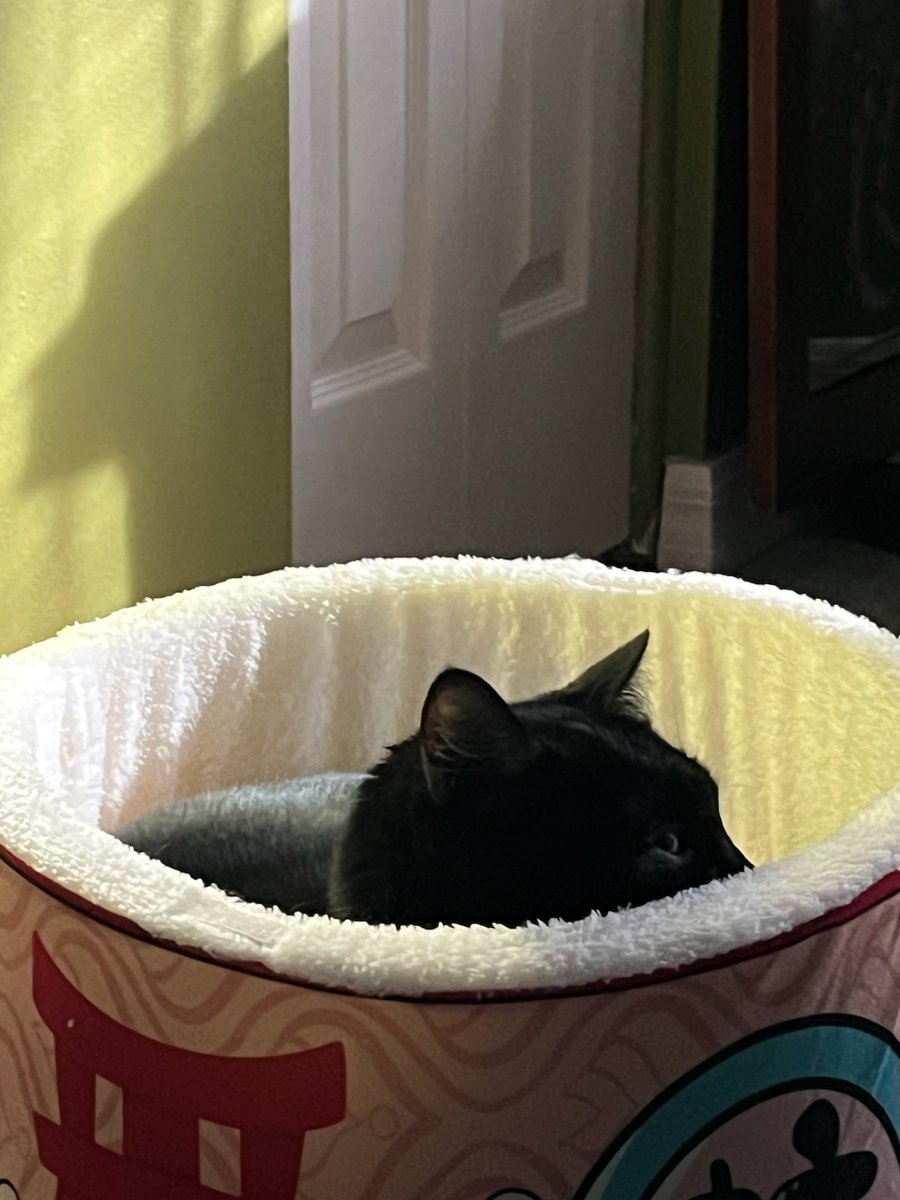 TracerRacerX tweet media