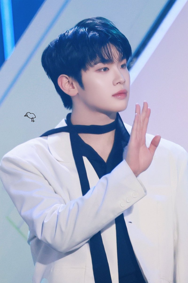 llt🐤🐣🐥 tweet media