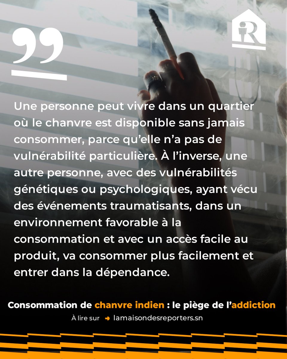 La Maison Des Reporters tweet media