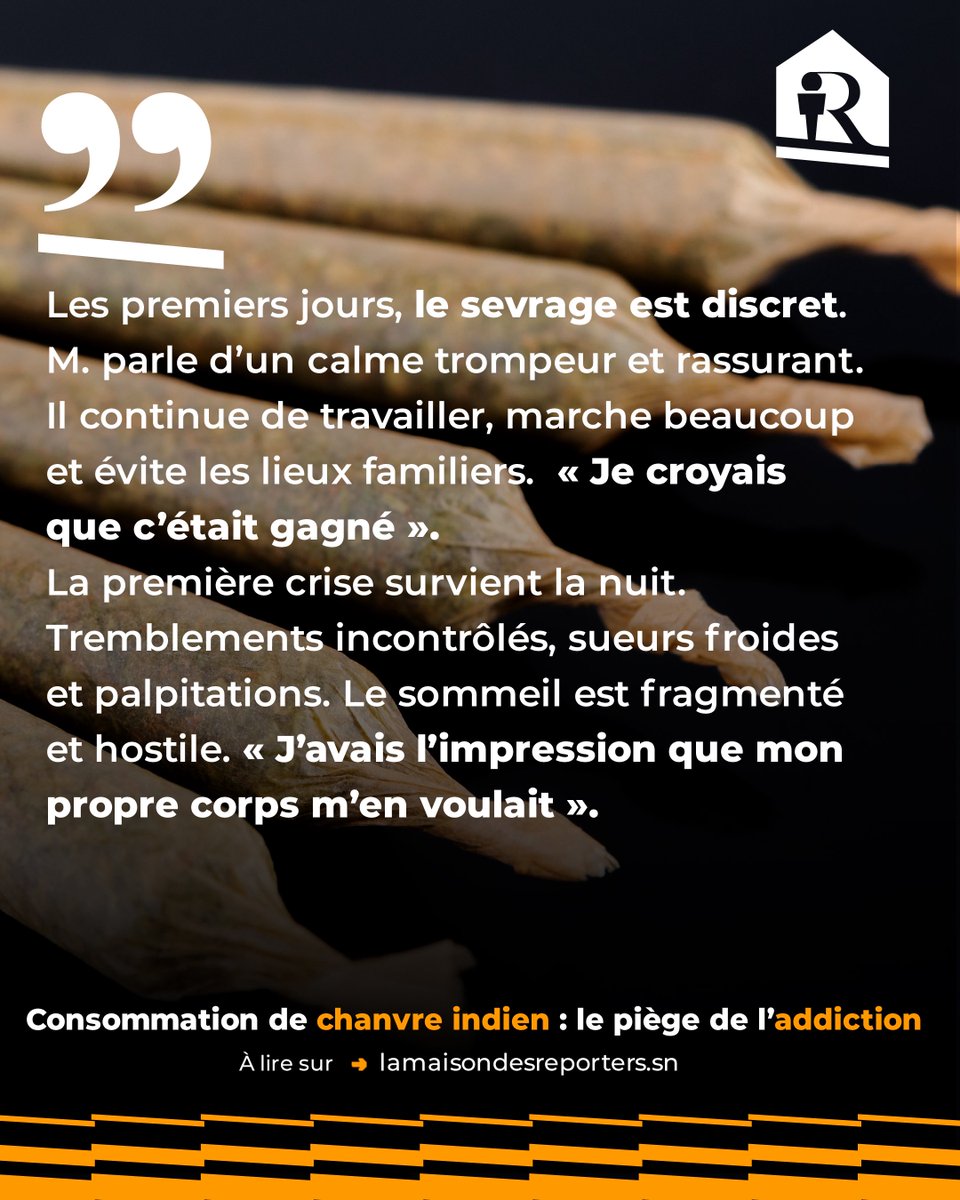 La Maison Des Reporters tweet media