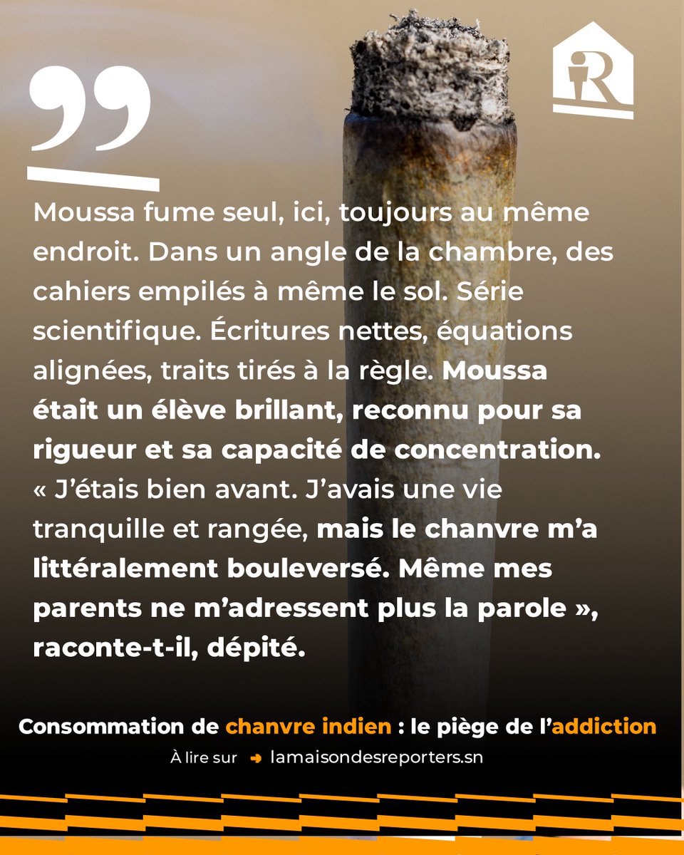 La Maison Des Reporters tweet media