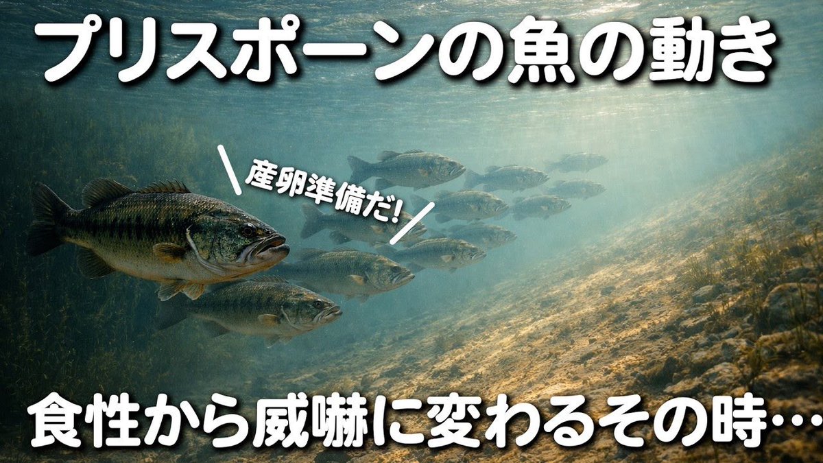 メジャクラBassTube tweet media