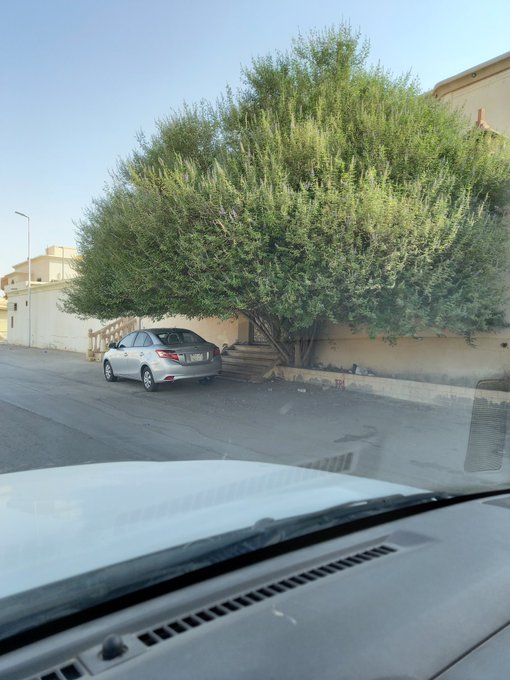 ابوحسام 🌿 tweet media