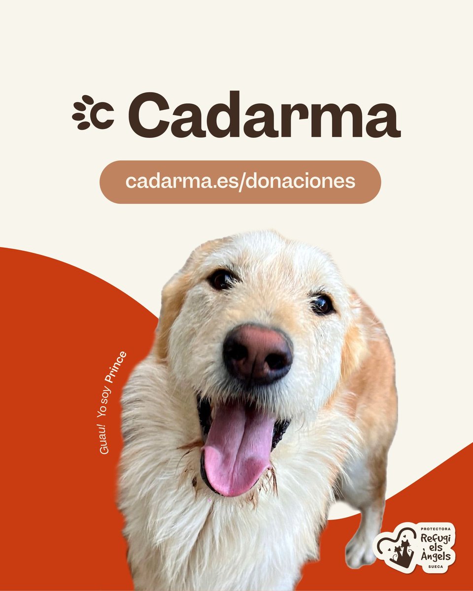 Refugi Els Àngels tweet media