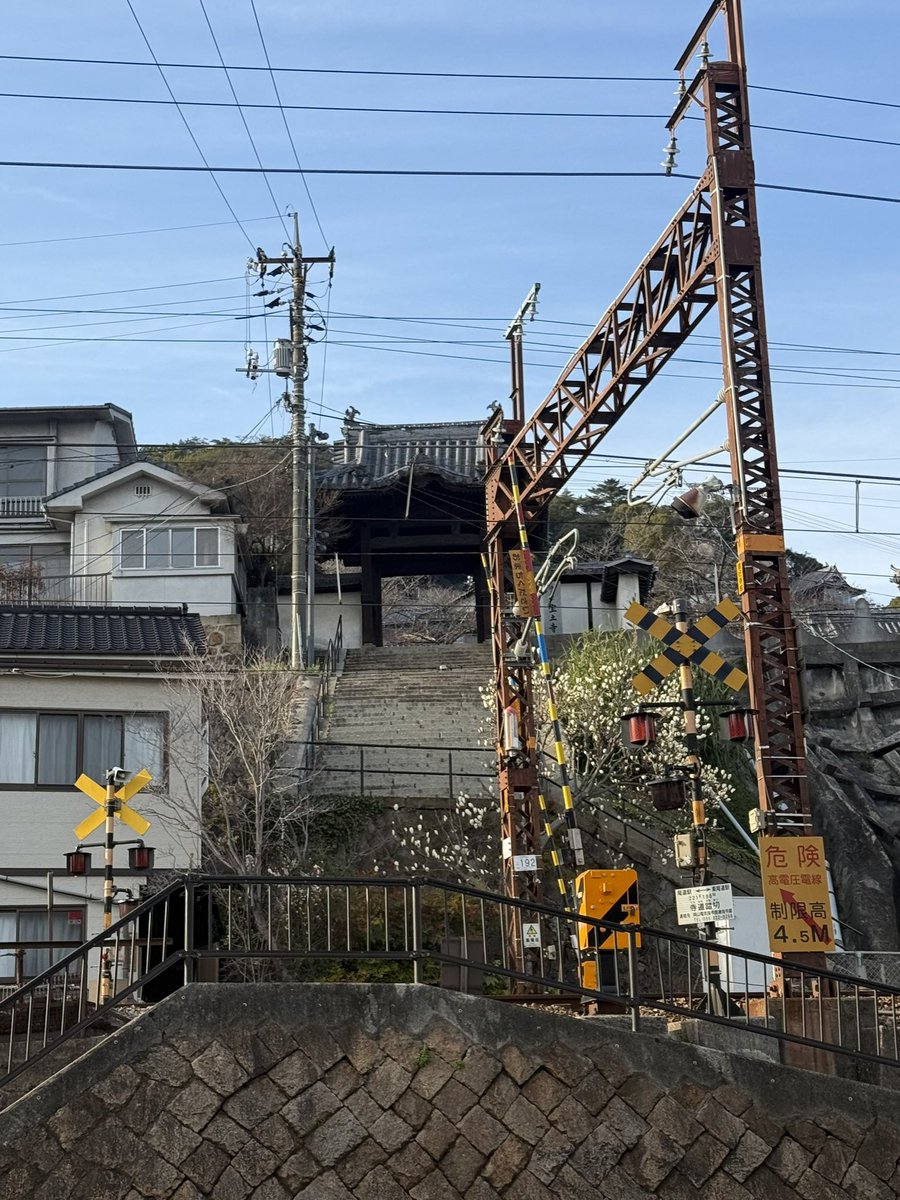 chocotoko tweet media