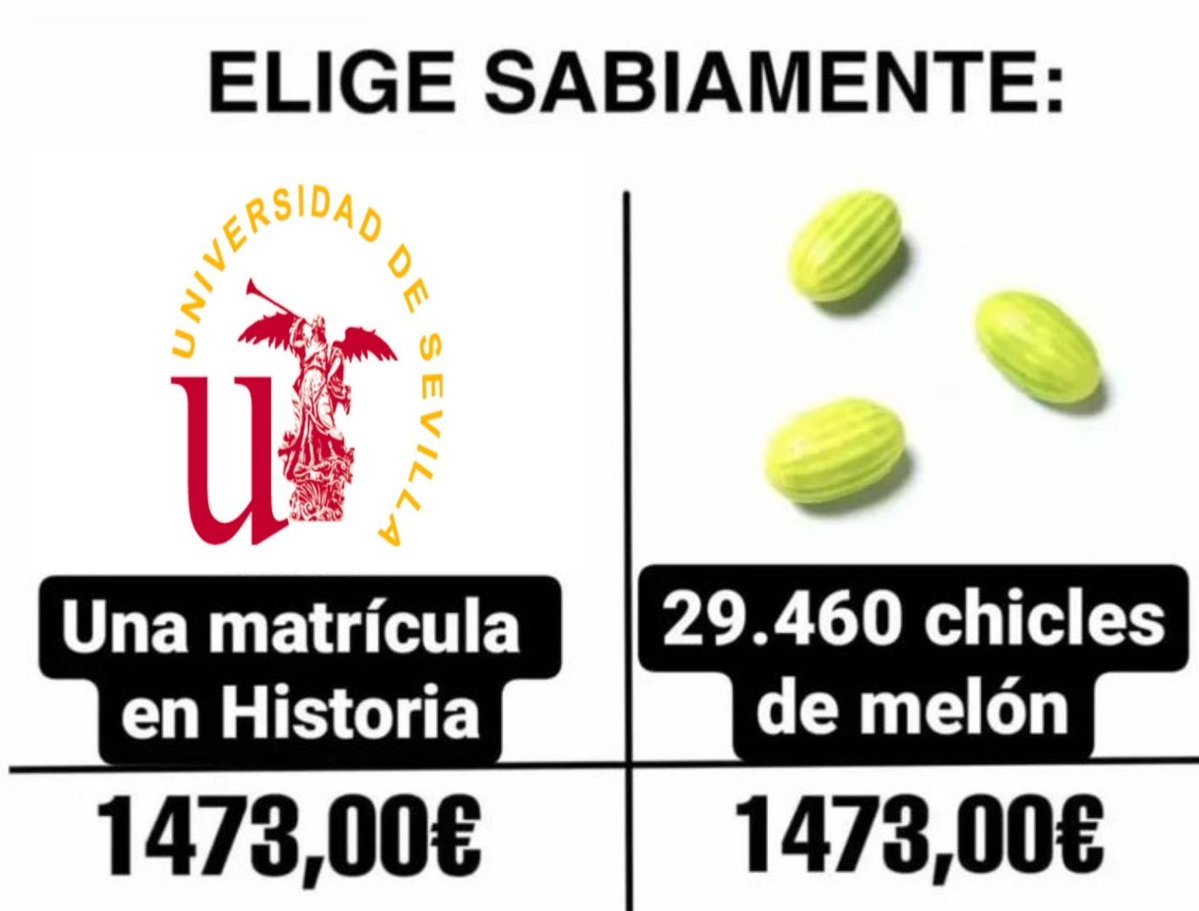 chincheto pirata somali tweet media