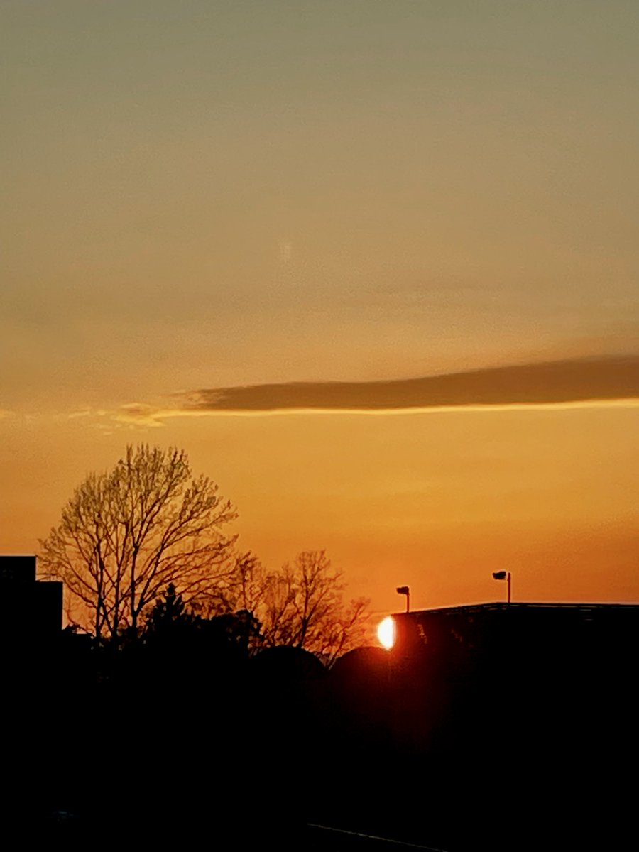 ruban0405's tweet photo. 夕陽が綺麗すぎて…

#夕陽
#見惚れる
#春の夕暮れ https://t.co/ebTBGoOkx3