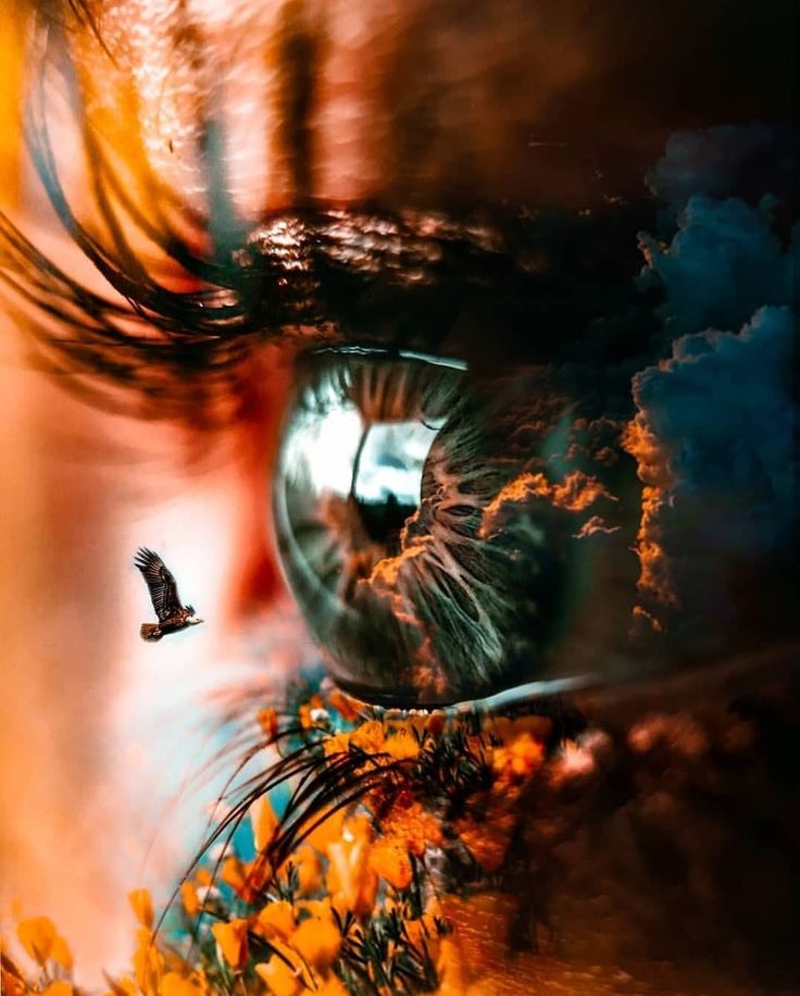 ꧁༺♡ourin♡༻꧂ tweet media