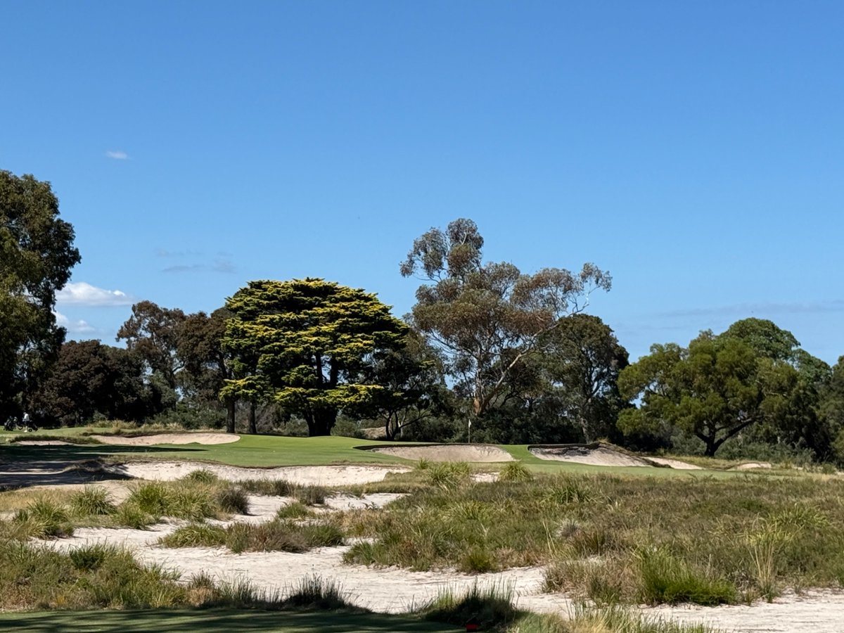 Rick Golfs tweet media