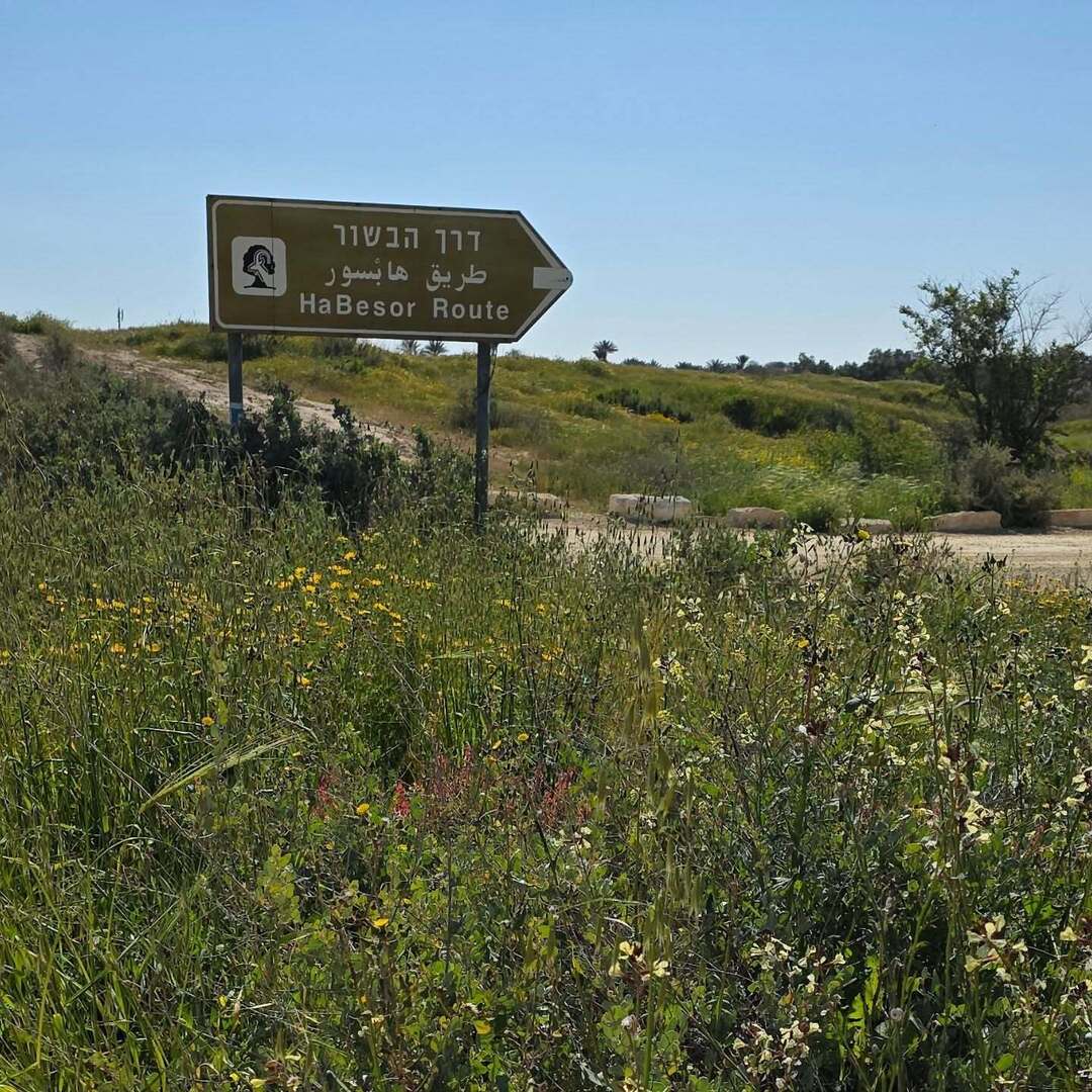 wanderonomy's tweet photo. I did a very short walk to see some of HaBsor National Park.

At one point I followed a path thinking it would lead me down to the stream, but I oopsie, failed to test the ground!  Luckily I didn't fall or lose my shoe.

I will definitely go back. https://t.co/cZR9Ylm5Lu https://t.co/4br8PKsVMh