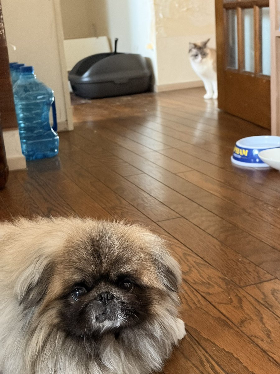 BURGHACK tweet media