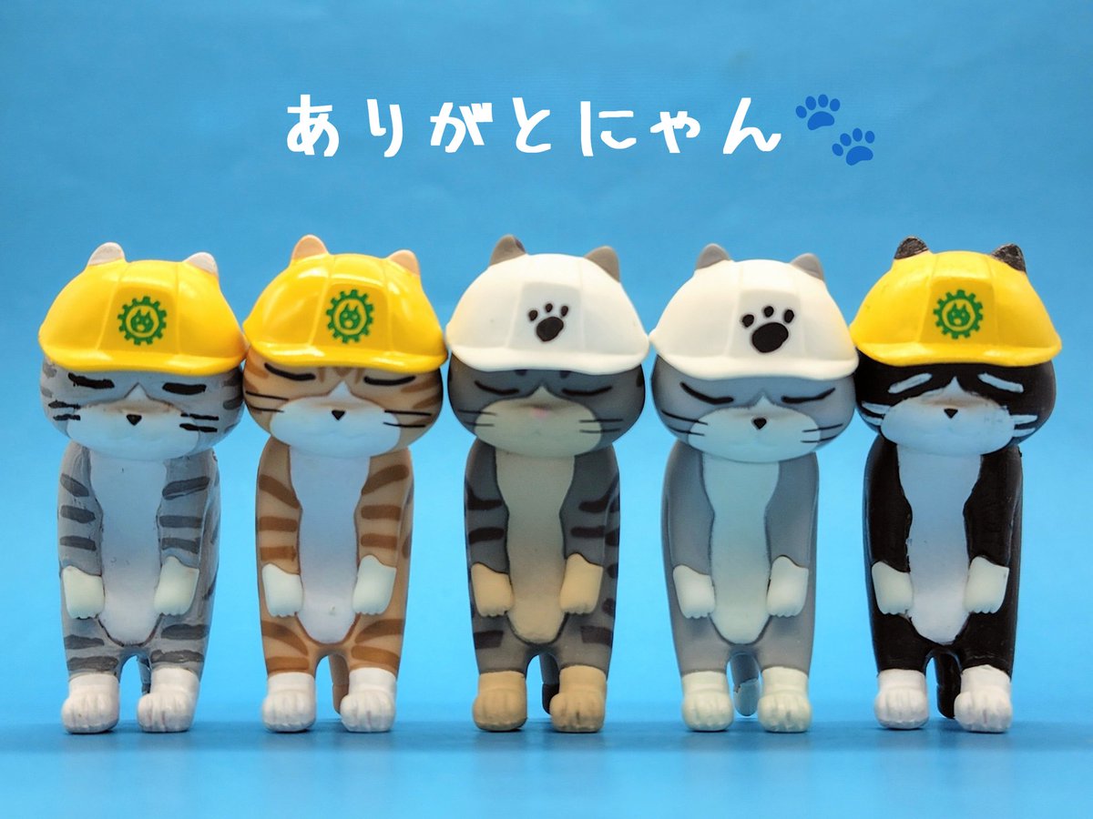 おかっぱ tweet media