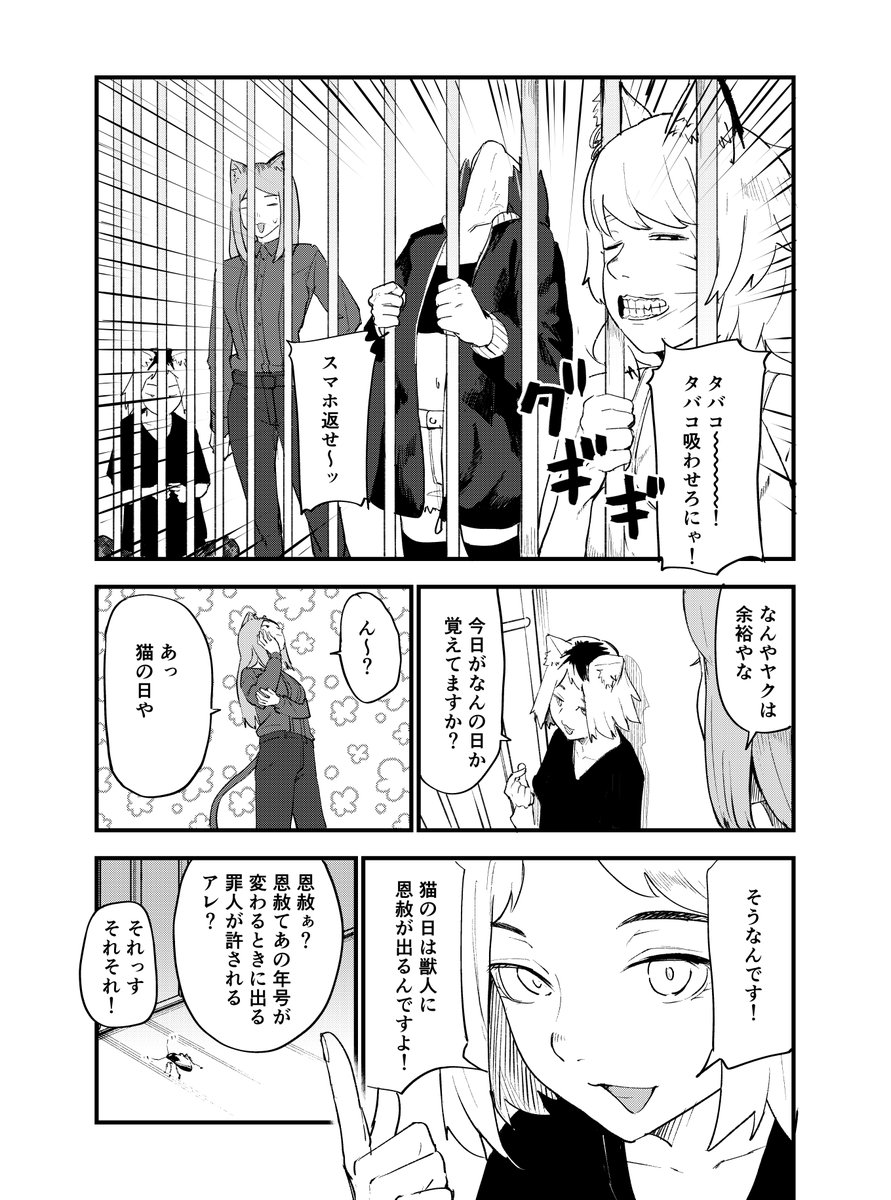 yani_neko1111's tweet photo. 猫の日はいつも晴れ https://t.co/0O3ICLL9mn