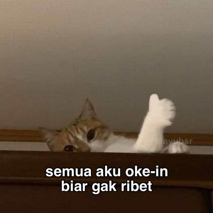 SEND MFS BACA LINK YA GES!! tweet media