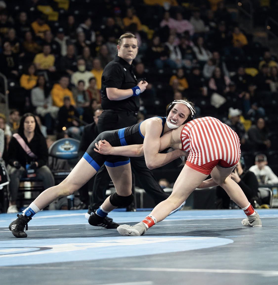 Chris Blasko tweet media