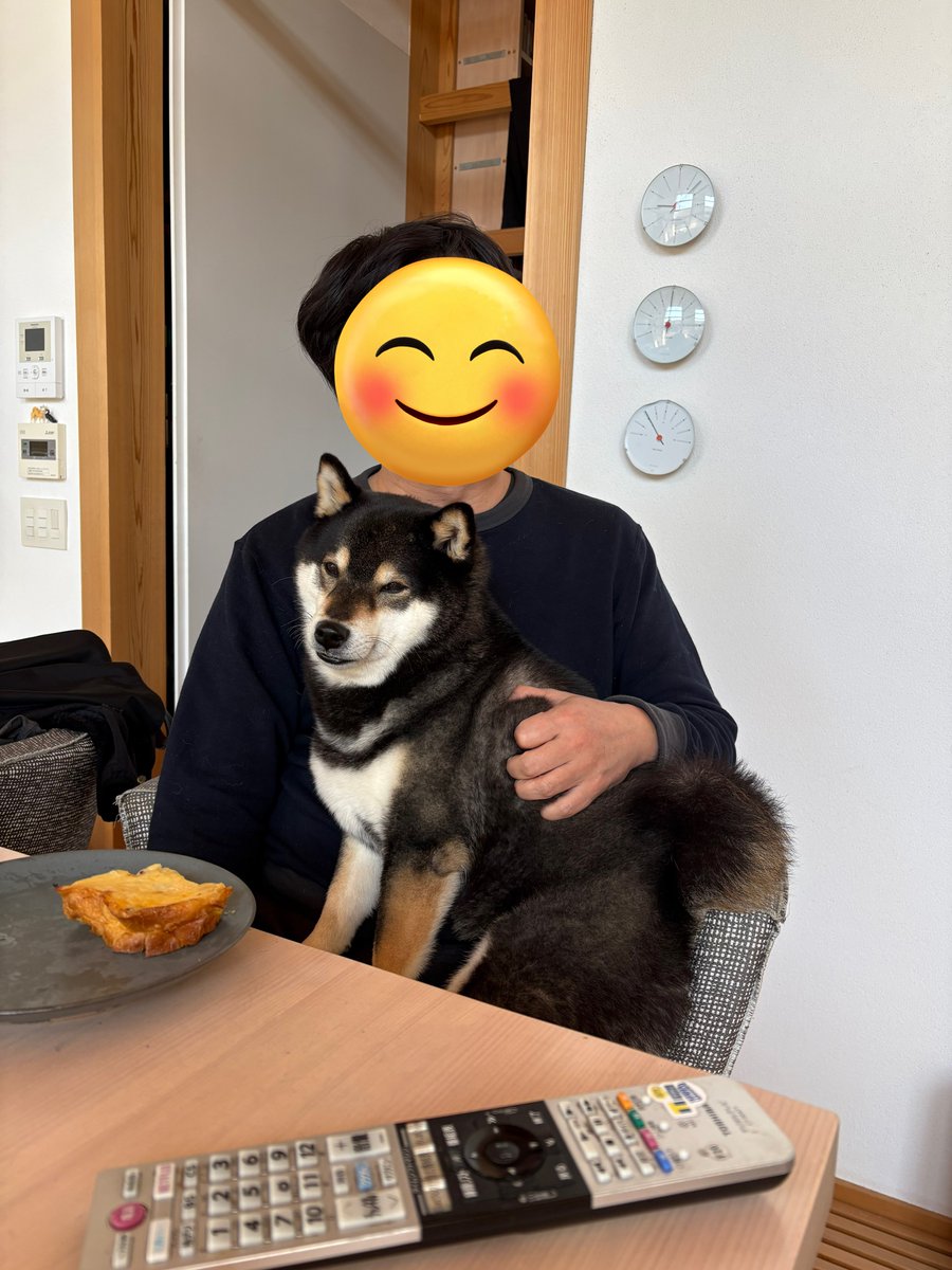 おとーちゃんのダッコ。

その顔。。。

#黒柴　#柴犬