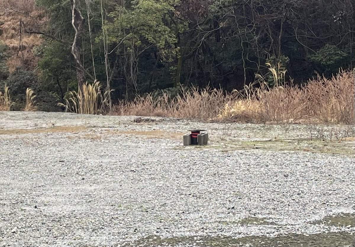 خالد الله أكبر 999 tweet media