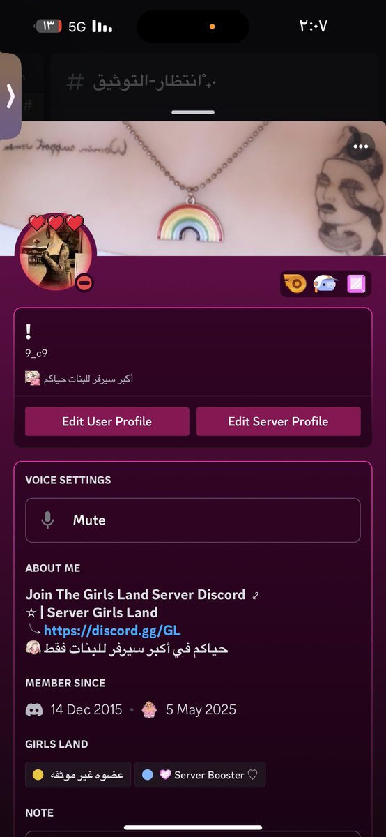 مشاعل. tweet media